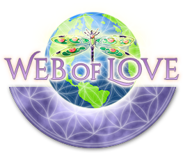 Web of Love Web of Love